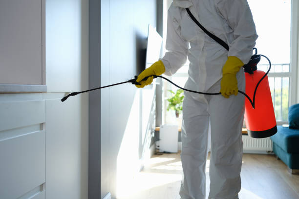 Professional Mold Inspection, Removal & Remediation in Dagsboro, DE